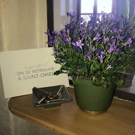 L'omerade: De Charme Dans Maison Audomaroise Apartman