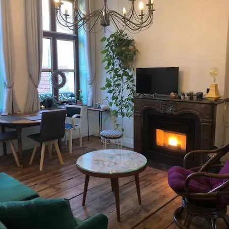 L'omerade: De Charme Dans Maison Audomaroise 公寓 圣奥梅尔