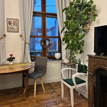 L'omérade: De Charme Dans Maison Audomaroise Appartement *