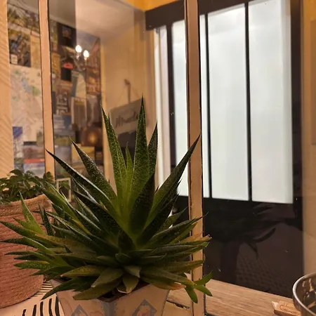 Apartment L'omerade: De Charme Dans Maison Audomaroise *